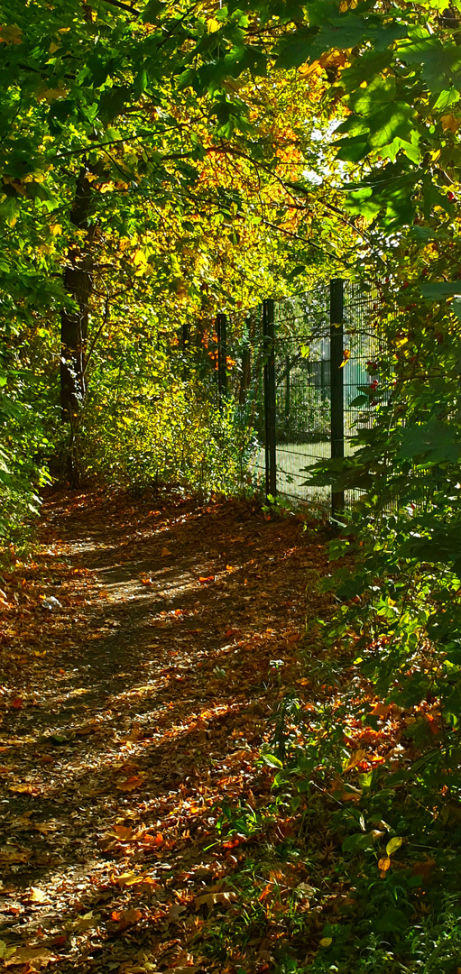 Herbstspaziergang