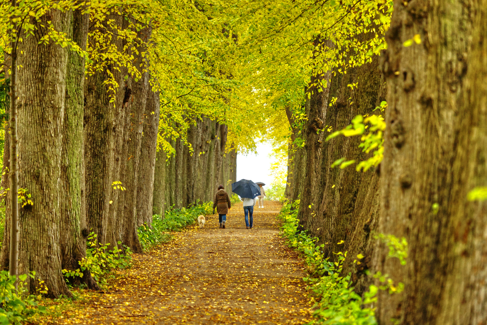 Herbstspaziergang