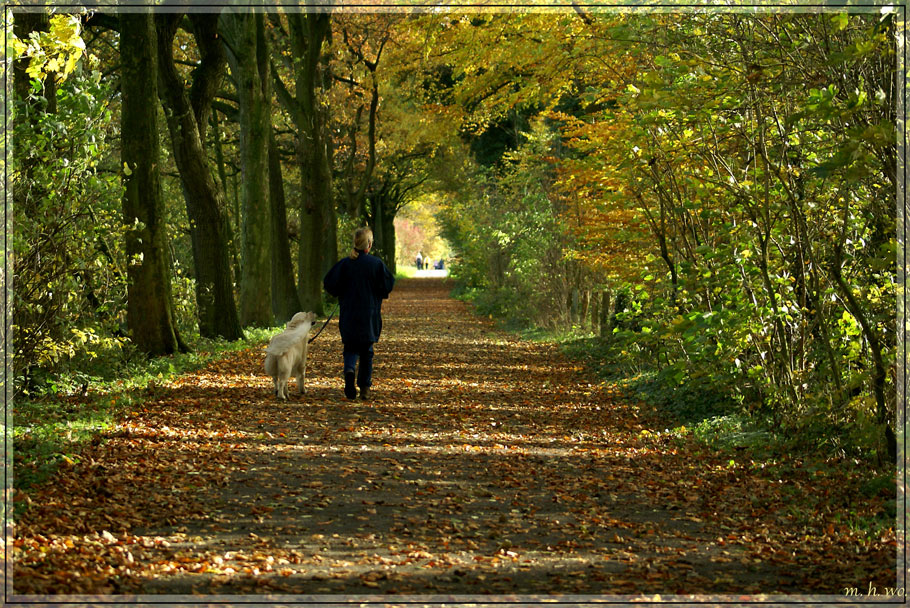 Herbstspaziergang..........