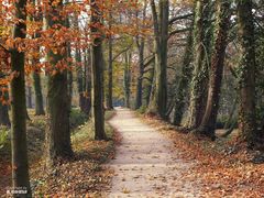 Herbstspaziergang