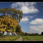 Herbstspaziergang