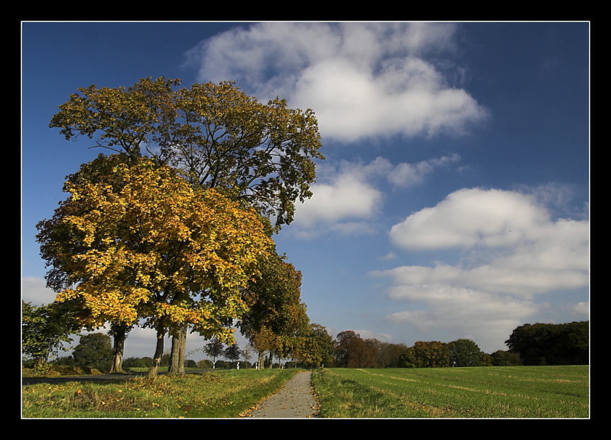 Herbstspaziergang