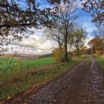 Herbstspaziergang