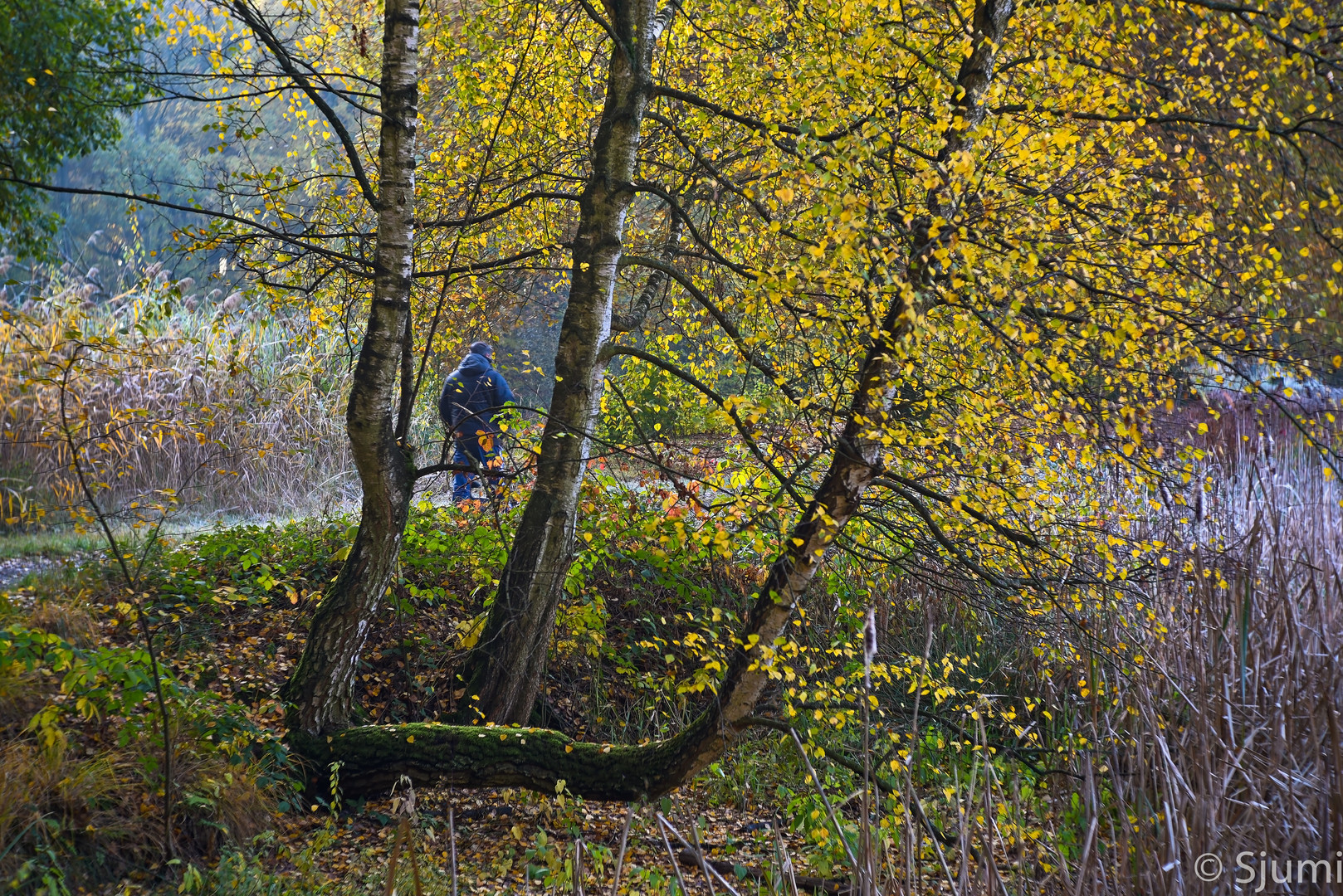 Herbstspaziergang