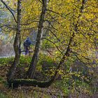 Herbstspaziergang