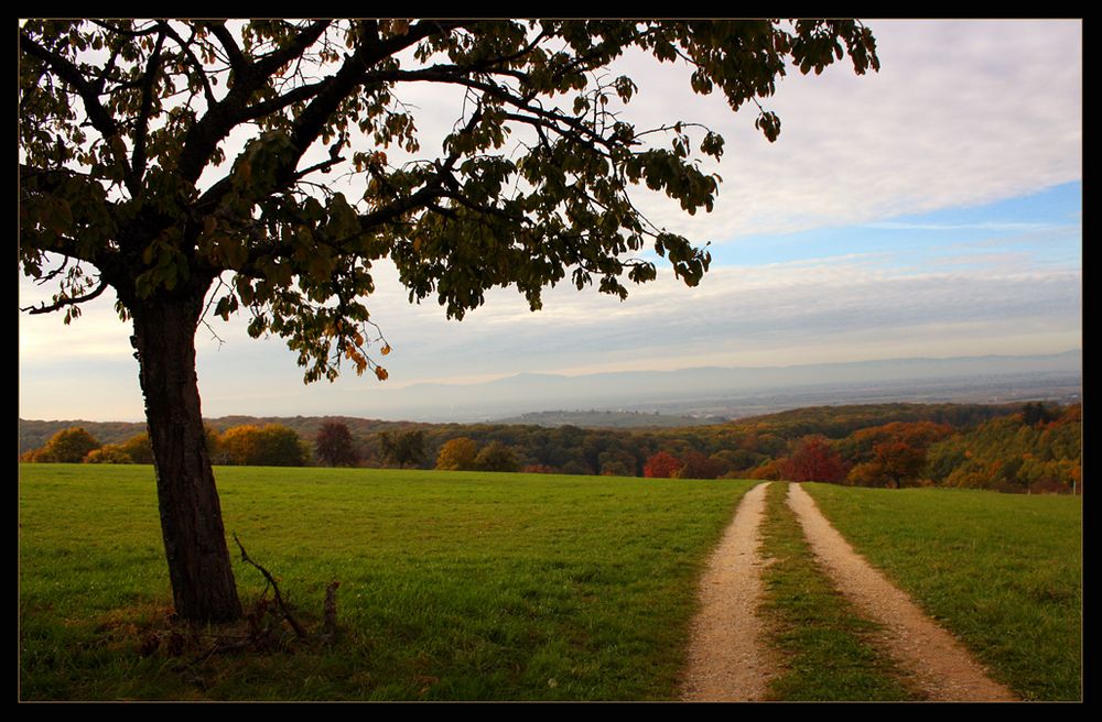 Herbstspaziergang...