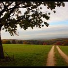 Herbstspaziergang...