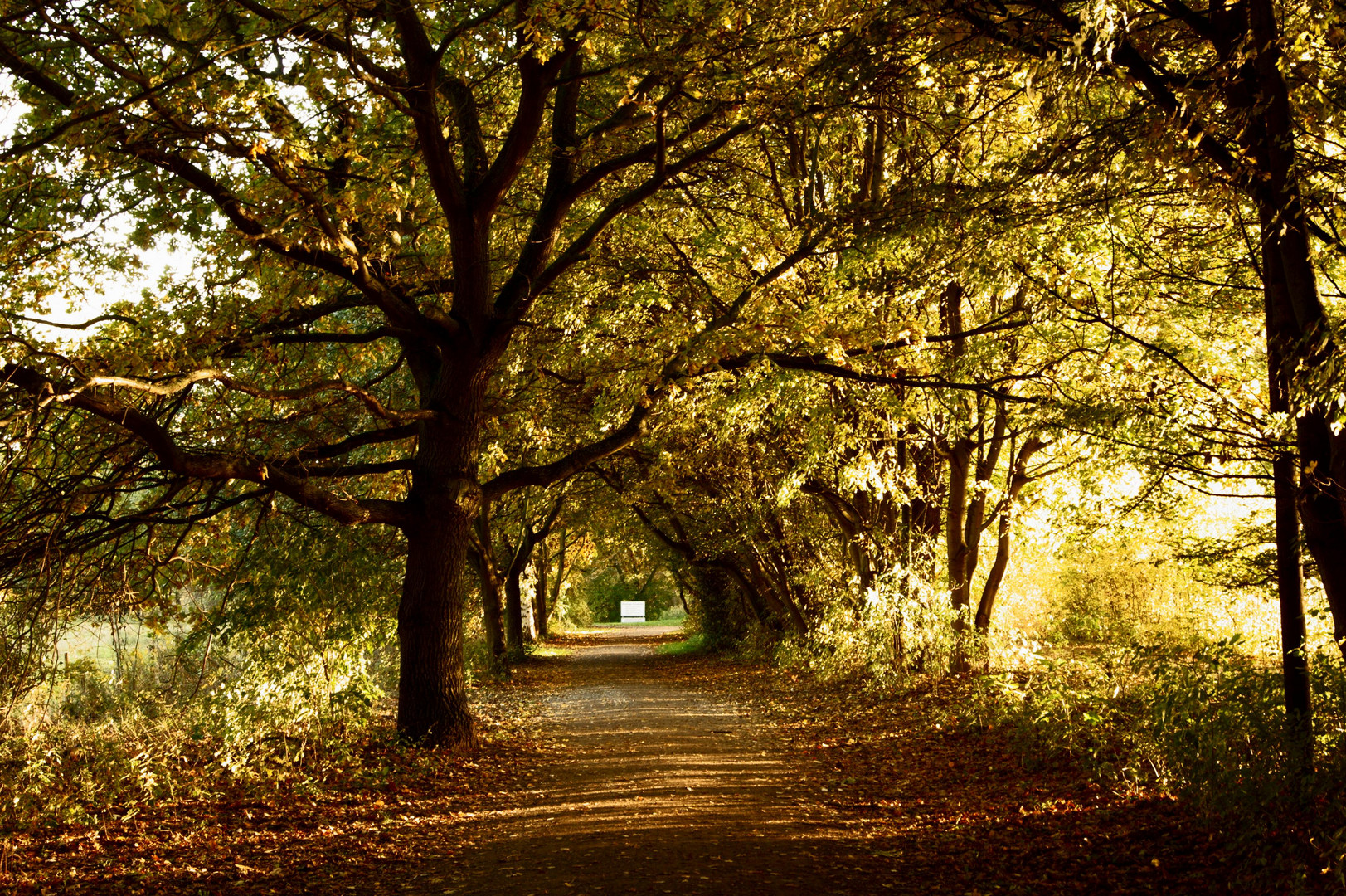 Herbstspaziergang