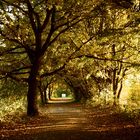 Herbstspaziergang