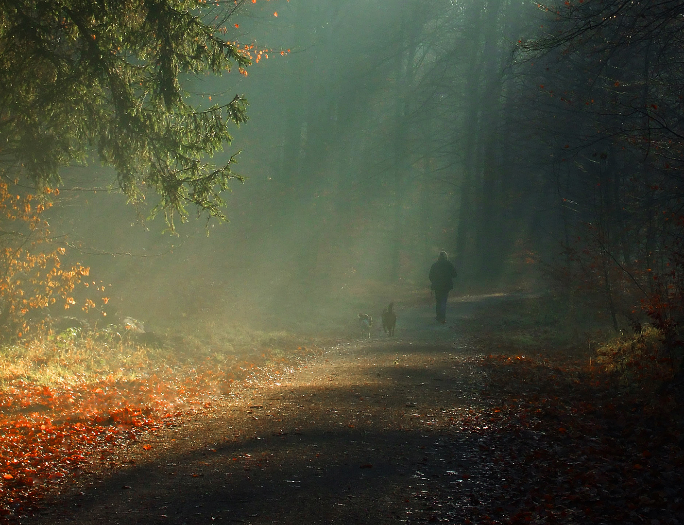 Herbstspaziergang