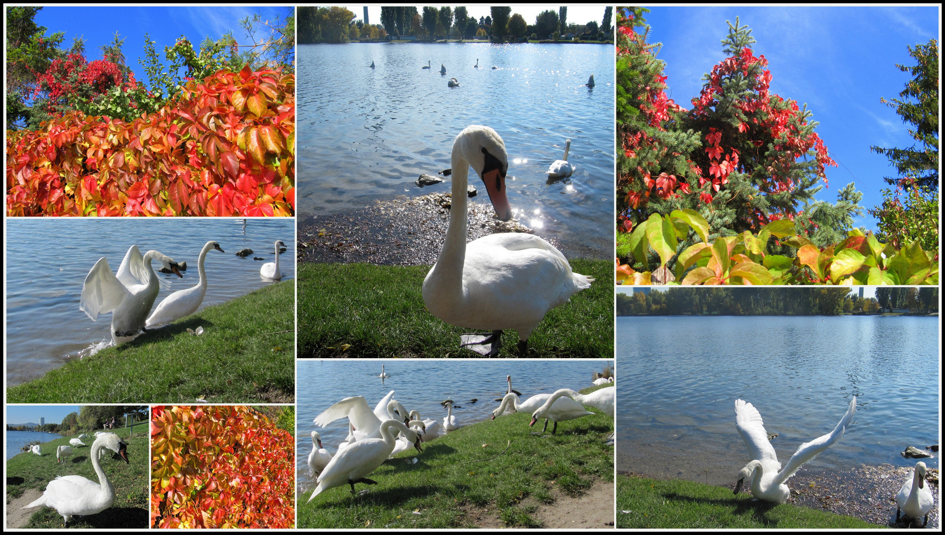 Herbstspaziergang