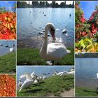 Herbstspaziergang