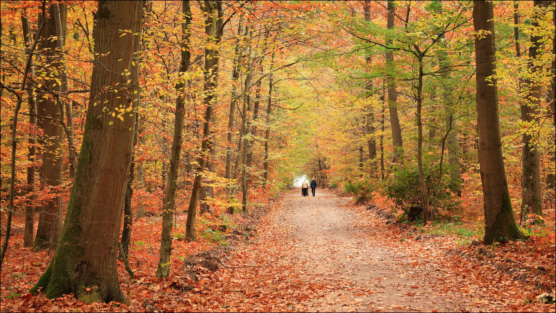  Herbstspaziergang