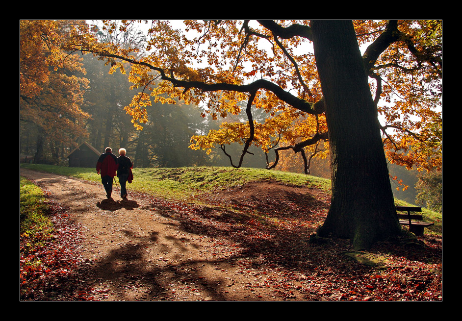 Herbstspaziergang