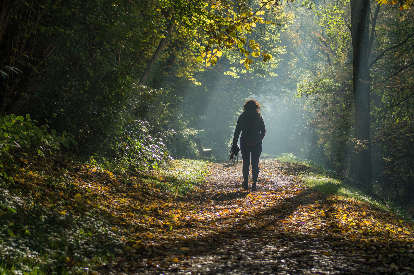 Herbstspaziergang