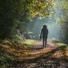 Herbstspaziergang