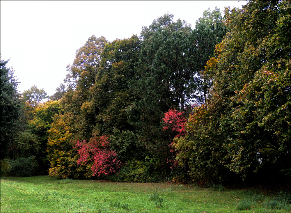 Herbstspaziergang