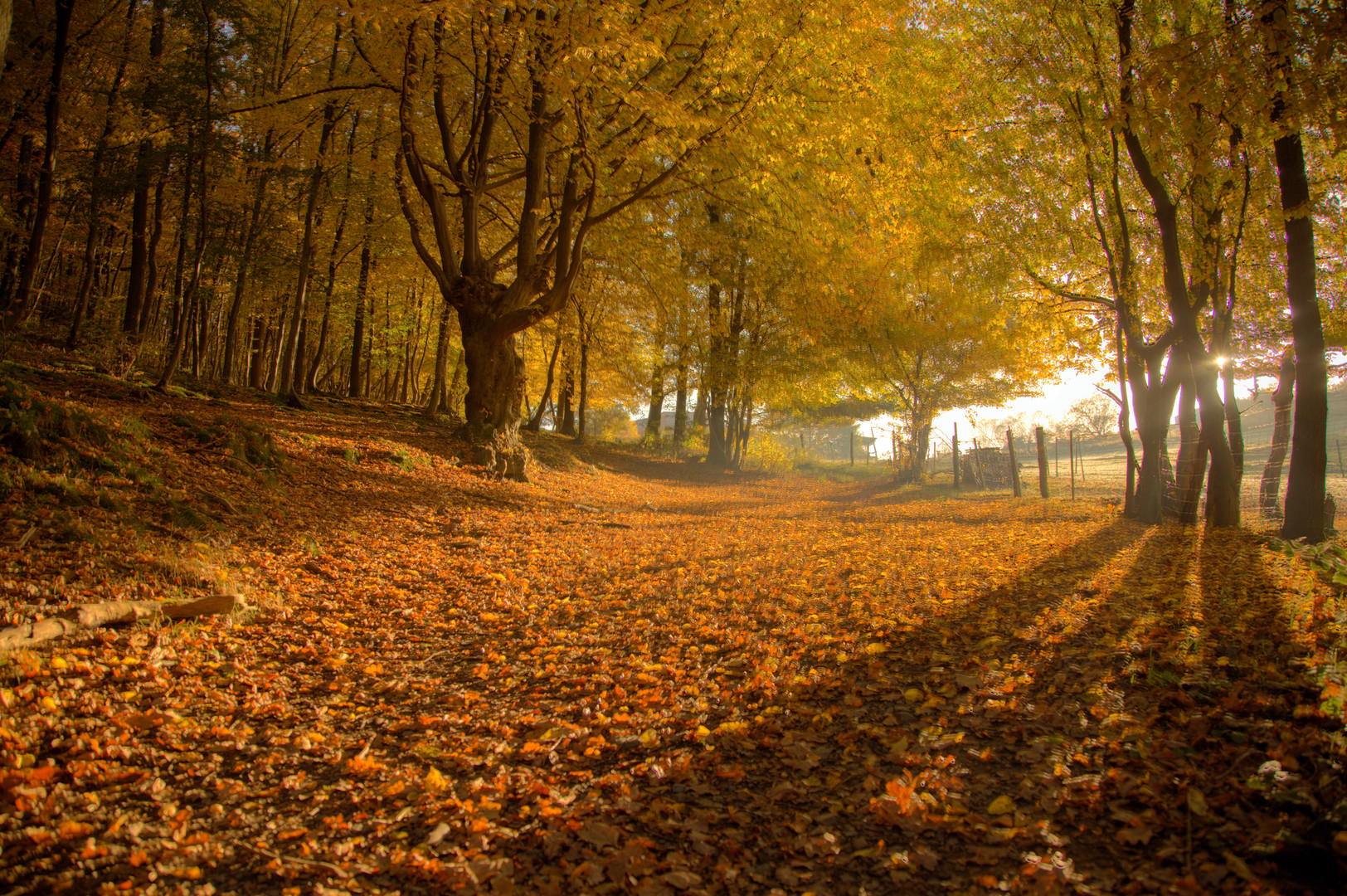 Herbstspaziergang