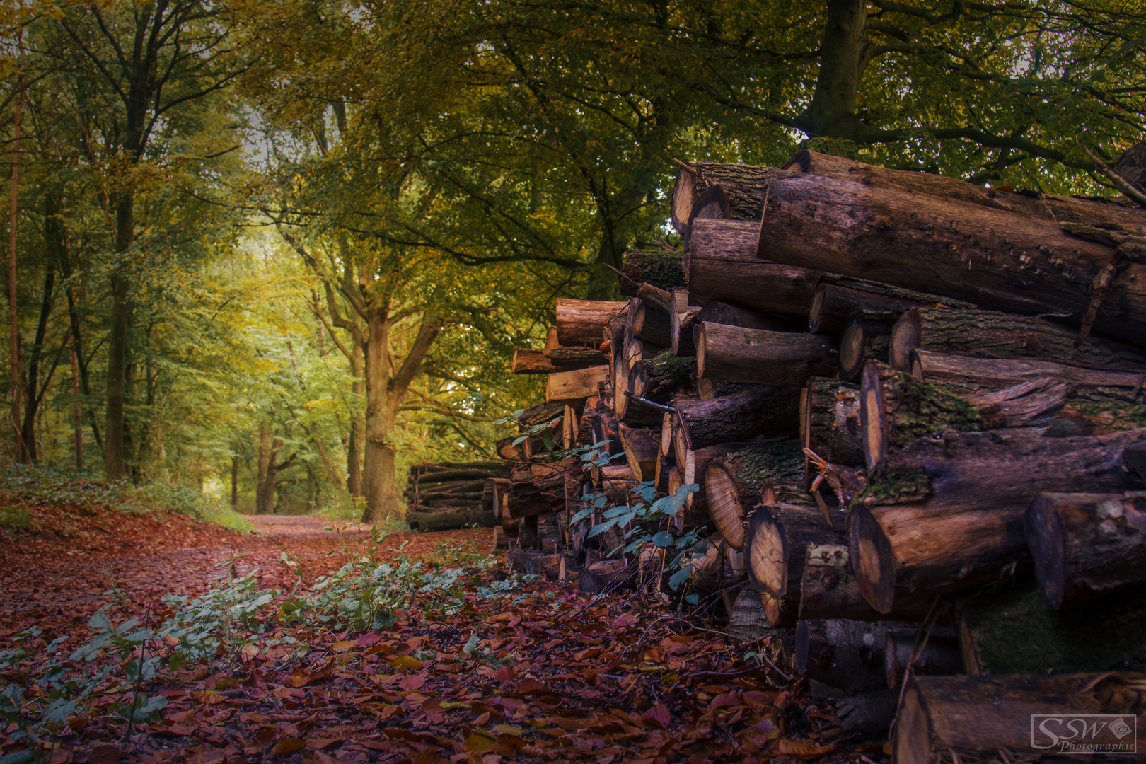 Herbstspaziergang