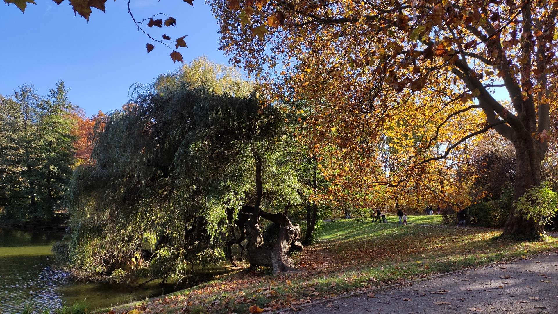 Herbstspaziergang