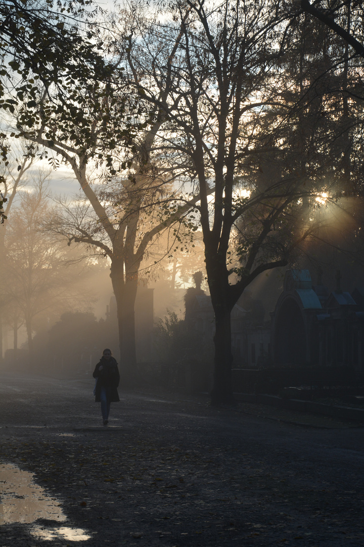 Herbstspaziergang