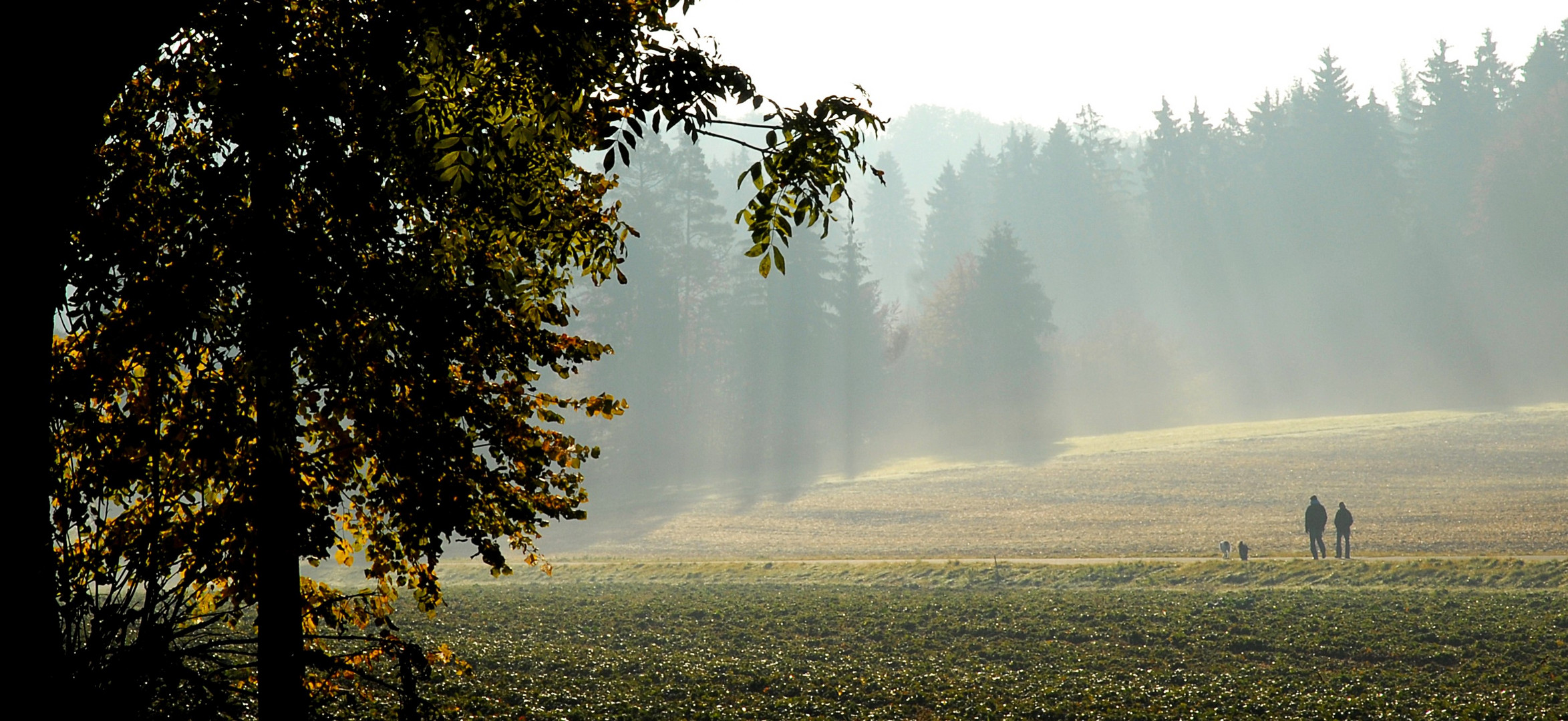 Herbstspaziergang