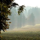 Herbstspaziergang