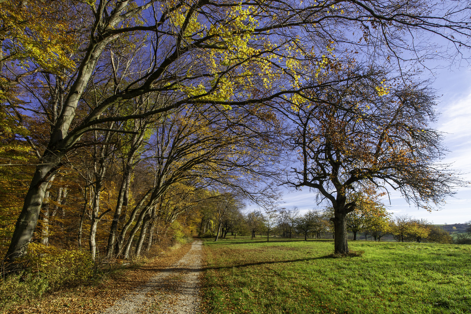 Herbstspaziergang