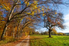 Herbstspaziergang