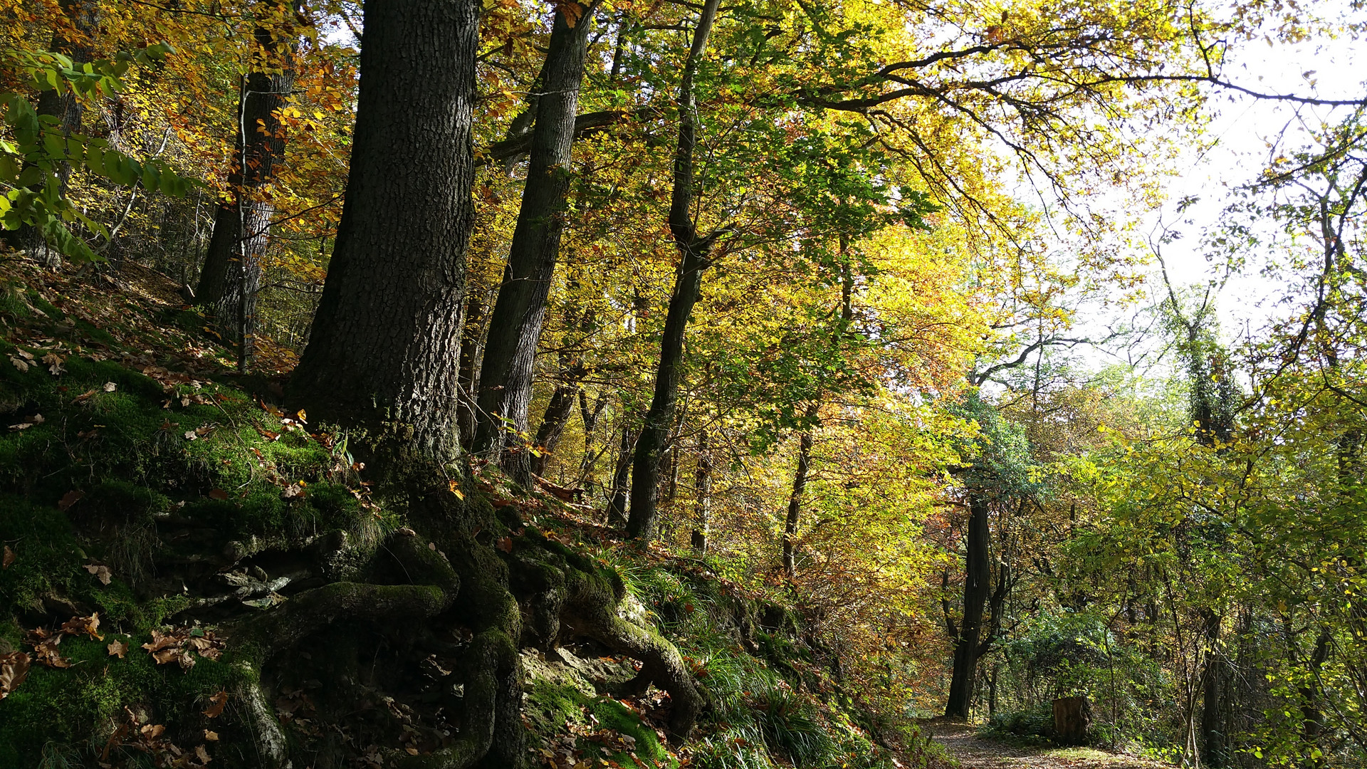 Herbstspaziergang