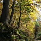 Herbstspaziergang