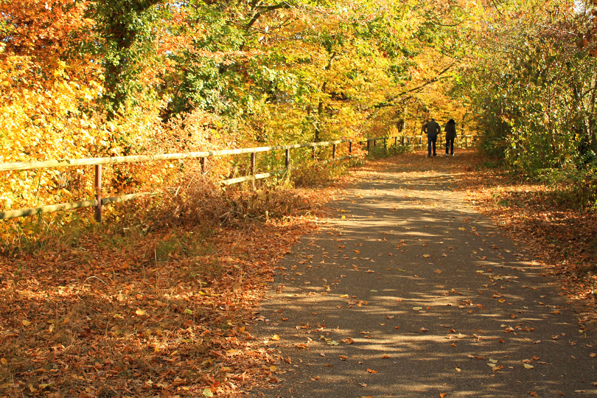 Herbstspaziergang