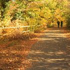 Herbstspaziergang