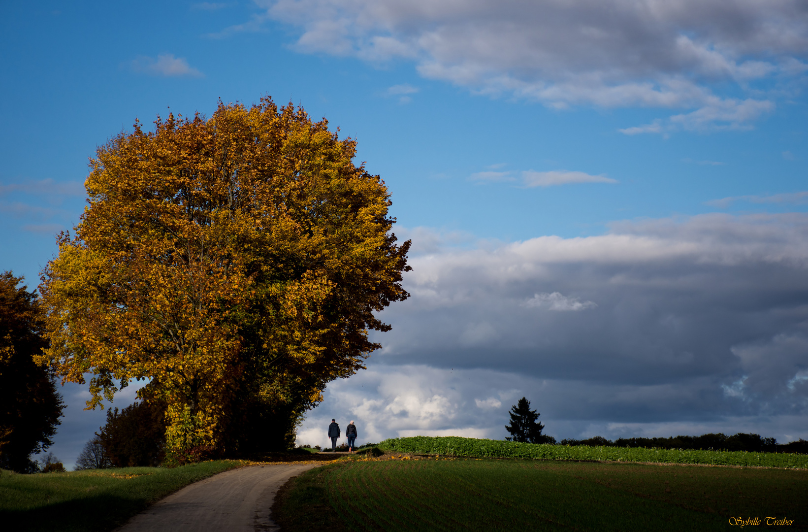 Herbstspaziergang