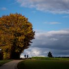 Herbstspaziergang