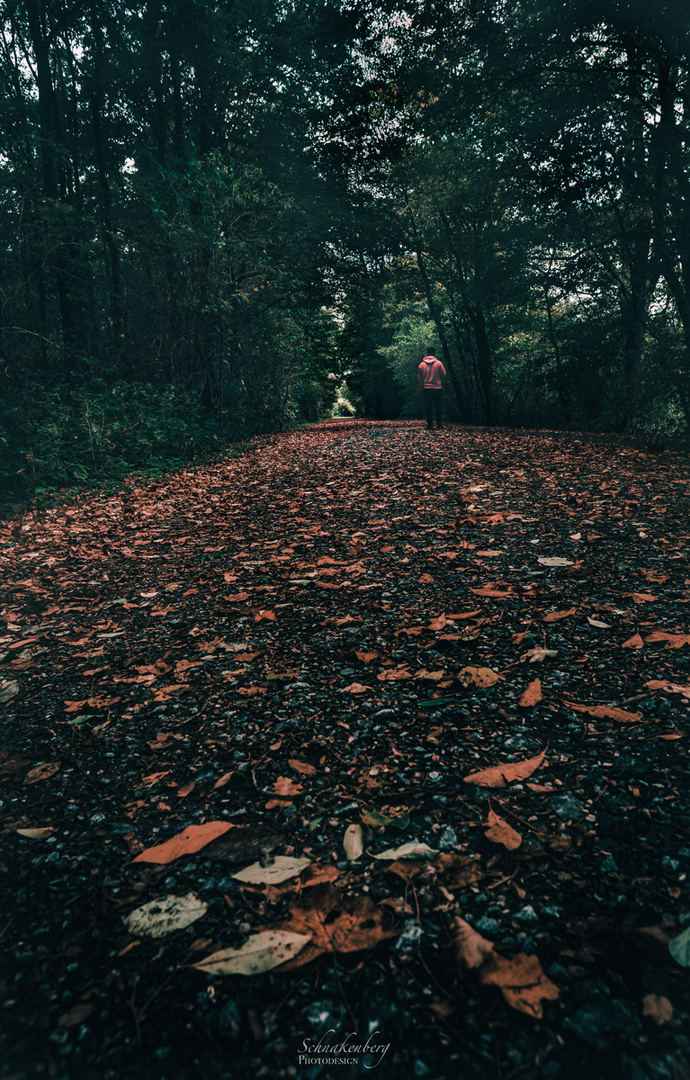 Herbstspaziergang