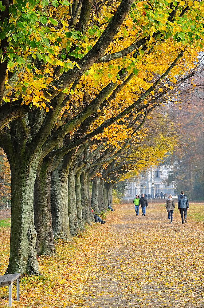 Herbstspaziergang