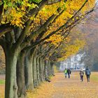 Herbstspaziergang