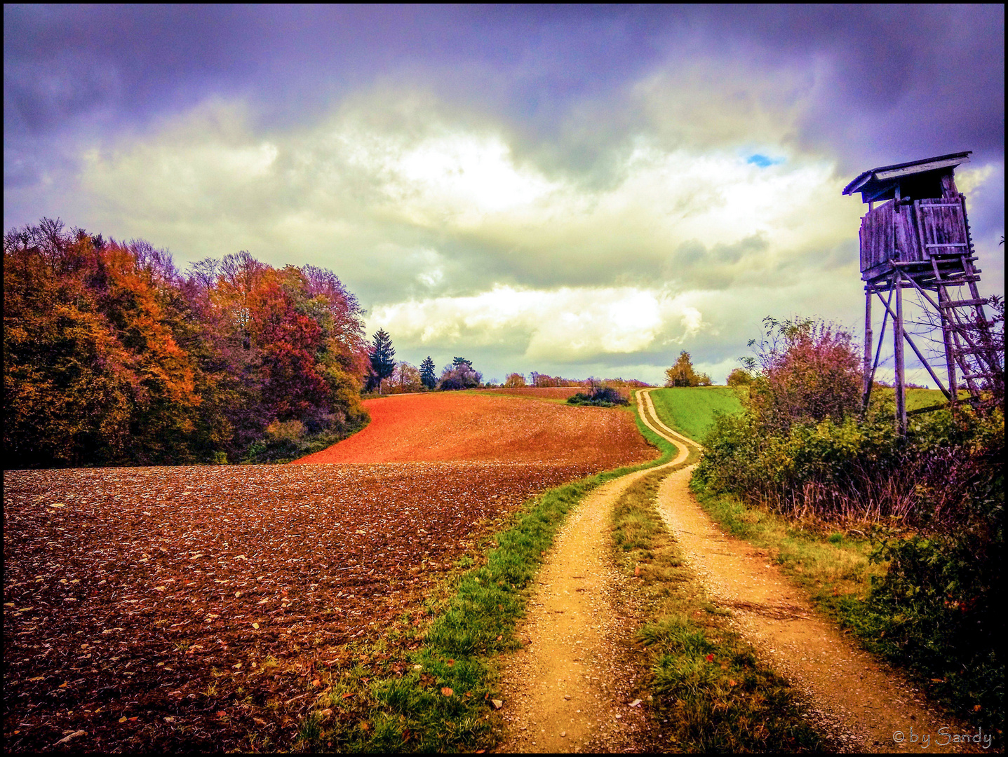 Herbstspaziergang