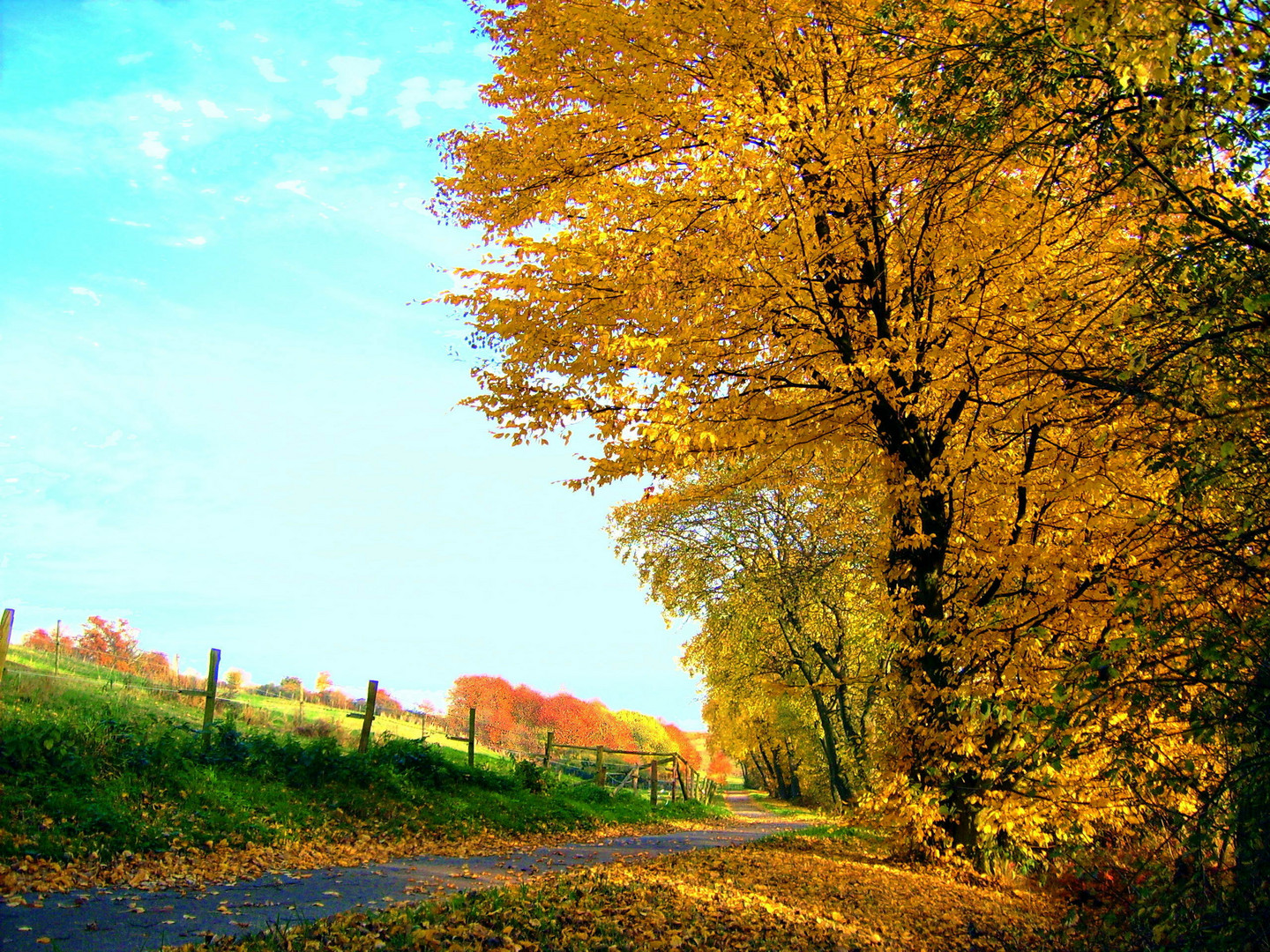 Herbstspaziergang