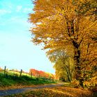 Herbstspaziergang