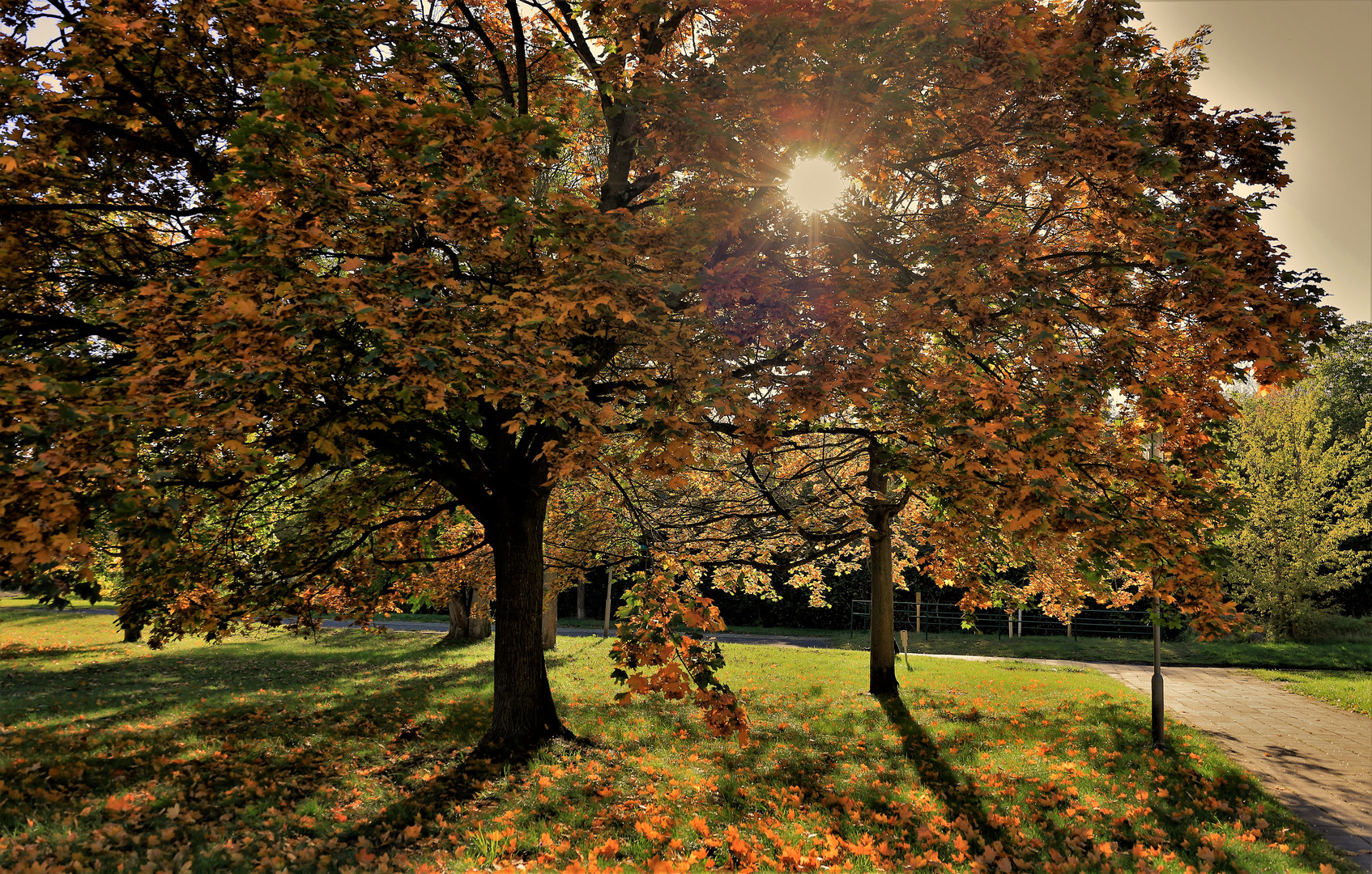 Herbstspaziergang...