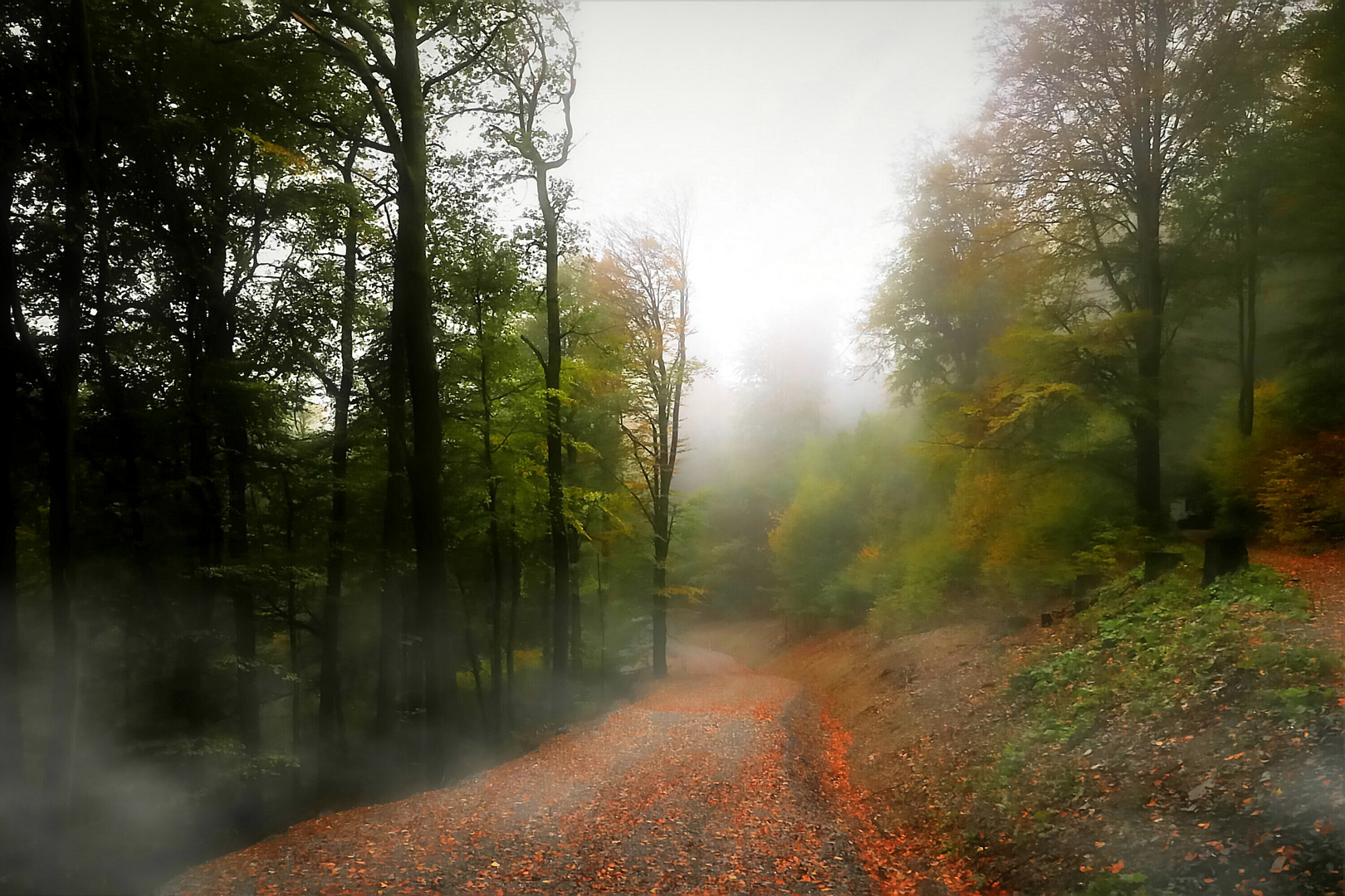 Herbstspaziergang