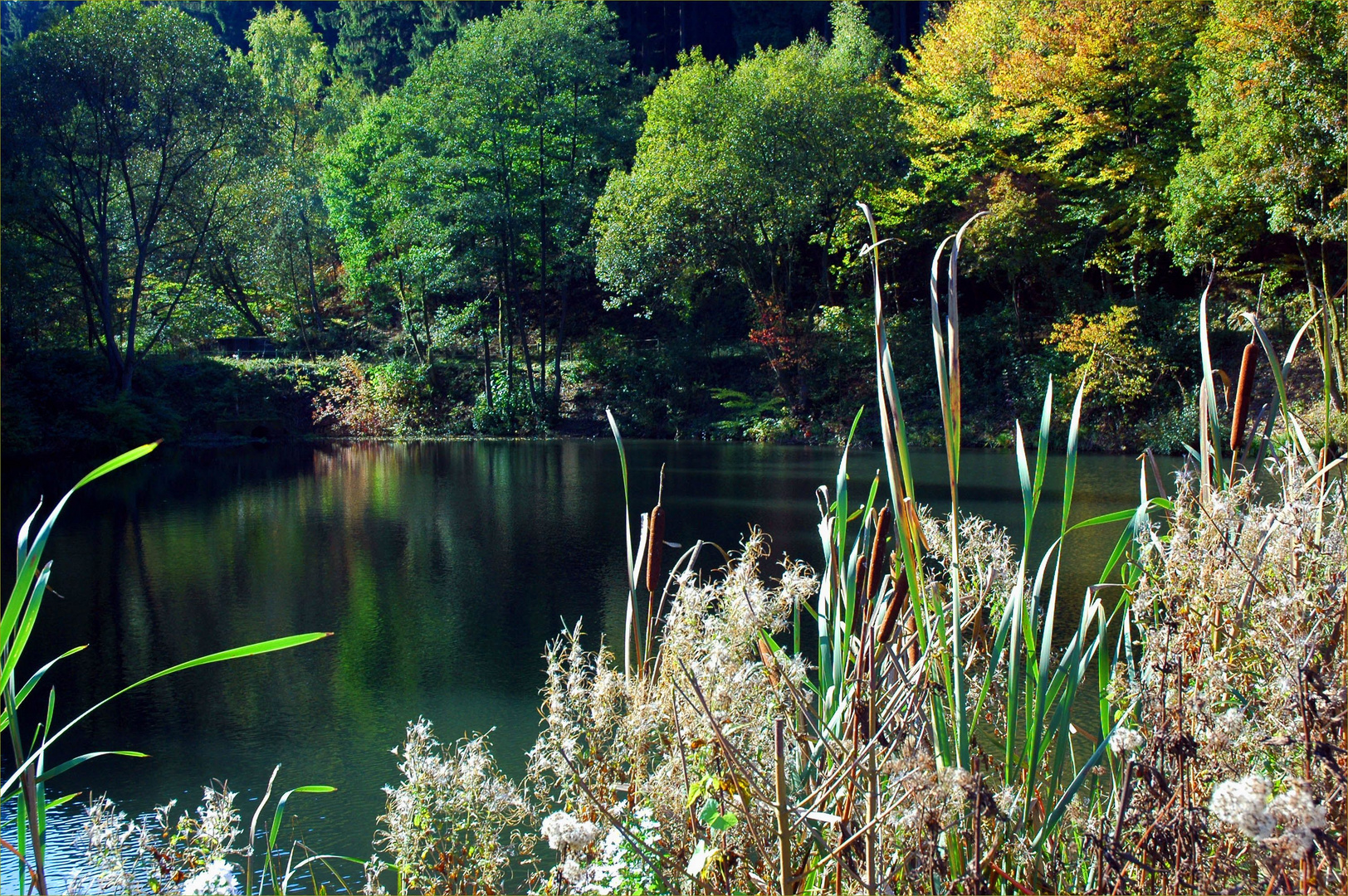 Herbstspaziergang