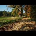 Herbstspaziergang