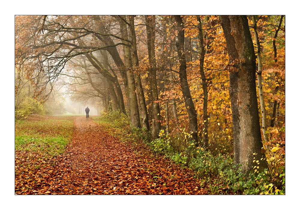 Herbstspaziergang