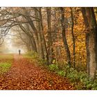 Herbstspaziergang