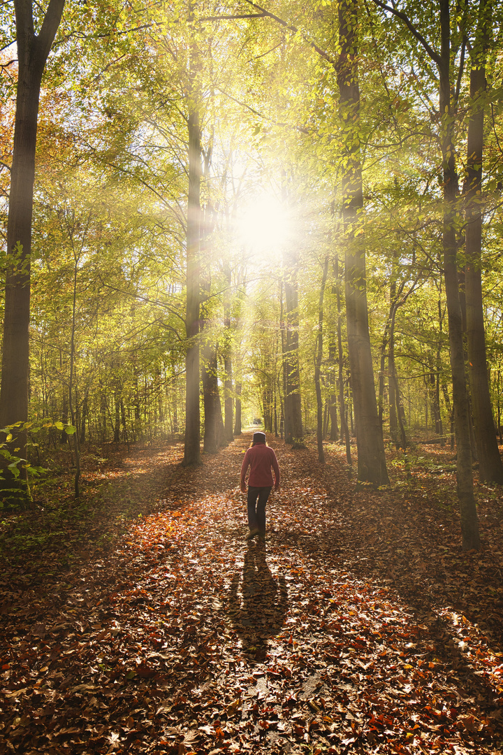 Herbstspaziergang