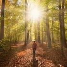 Herbstspaziergang