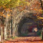 Herbstspaziergang